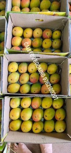 Yellow Natural Ratnagiri Hapus Mango Carton Packaging Size 20 Kg At