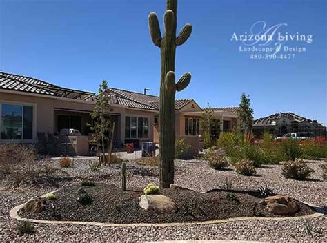 Arizona desert landscape design