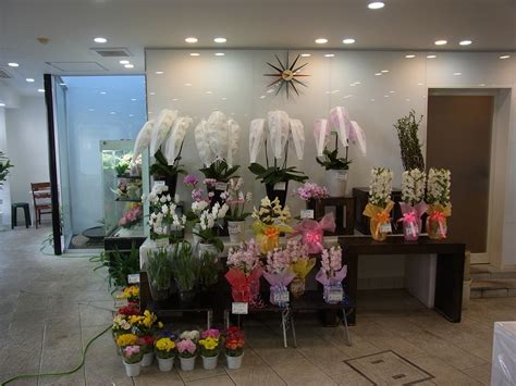 店舗紹介｜有限会社 タナカ生花店 兵庫県 神戸市 花の販売 冠婚葬祭