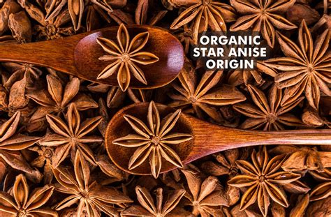 Organic Star Anise Origin A Spicy Journey Through Time Visimex