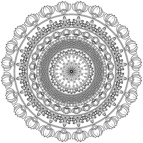 Vector Mandala Flowers Flower Drawing Flowers Drawing Man Drawing