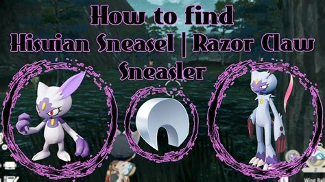 How To Find Hisuian Sneasel Razor Claw And Sneasler Pokémon Legends Arceus Youtube