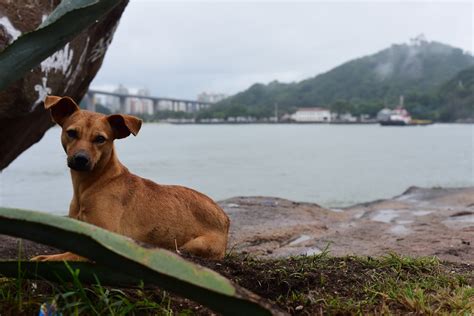 A Gazeta Es Recebe Dois Alertas De Perigo De Chuva Forte At O Fim De