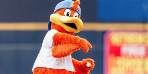 Meet The Akron Rubber Ducks Mascot Moving Day