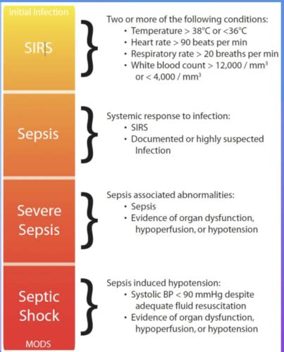 Patho II Infection Flashcards Quizlet