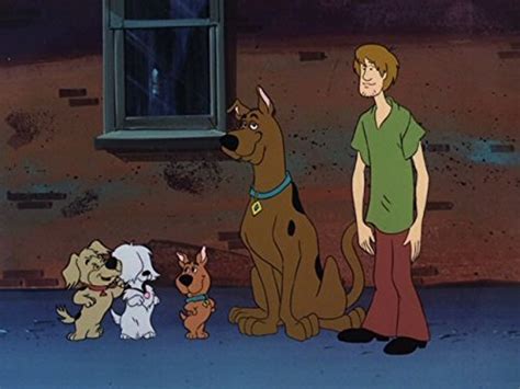 Watch Scooby Doo And Scrappy Doo Season 1 Prime Video