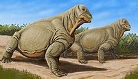 Moschops - Wikipedia