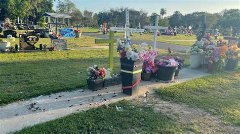 Grave Vandals Cairns Martyn Street Cemetery Desecrated The Cairns Post