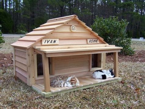 20” Cat House Duplex Custom Dog And Cat Houses By Blythe Wood Works