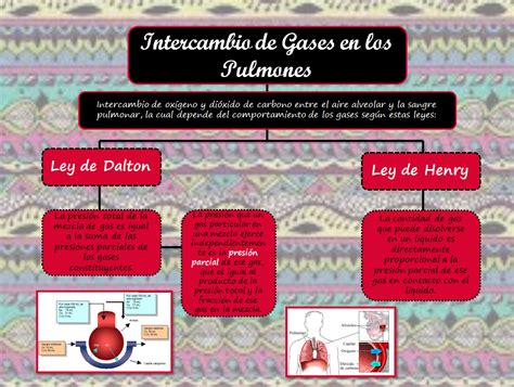 Blog De Fisiolog A Uas De Gisselle Gpe Camarillo Ramos Intercambio De