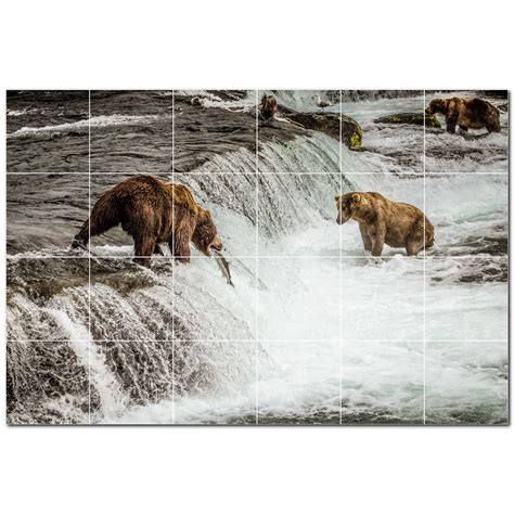 Picture Bear Photo 6 X 6 Satin Ceramic Decorative Mural Wayfair