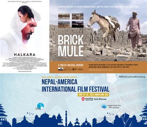 Here are the 12 Nepali films selected for the upcoming International ...