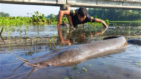 Unique Fishing Idea Amazing Boy Catching Big Monster Catfish By