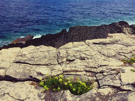 Free Images Landscape Sea Coast Nature Rock Ocean Plant Shore