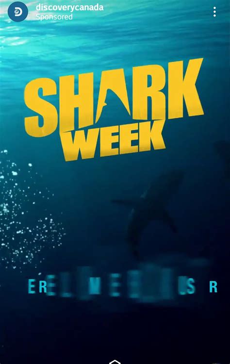 Shark Week On Discovery Shark Week Discovery Shark