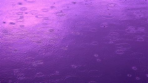 Purple Rain Iphone Wallpaper Wallpapersafari 924 Hot Sex Picture