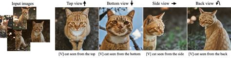 Stable Diffusion Camera Angles Image To U