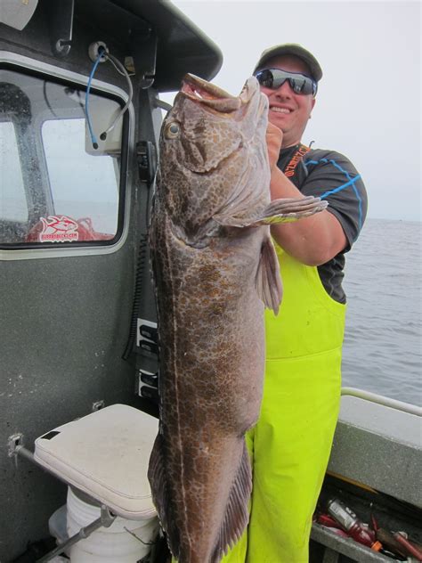 Todds Extreme Fishing Westport Monster Lingcod Nice Halibut And Lots