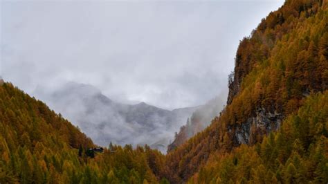 Erst Nebel Dann Sonne Ein Warmer Herbsttag Erwartet Uns In 5 Minuten