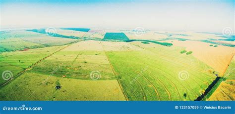 Aerial View Of A Farm Pasture Stock Image Image Of Aerial View