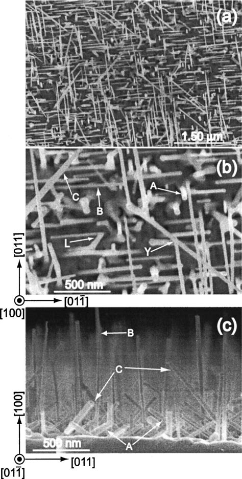 Sem Images Of Planar A And B And Cross Sectional C Views Of Gaas