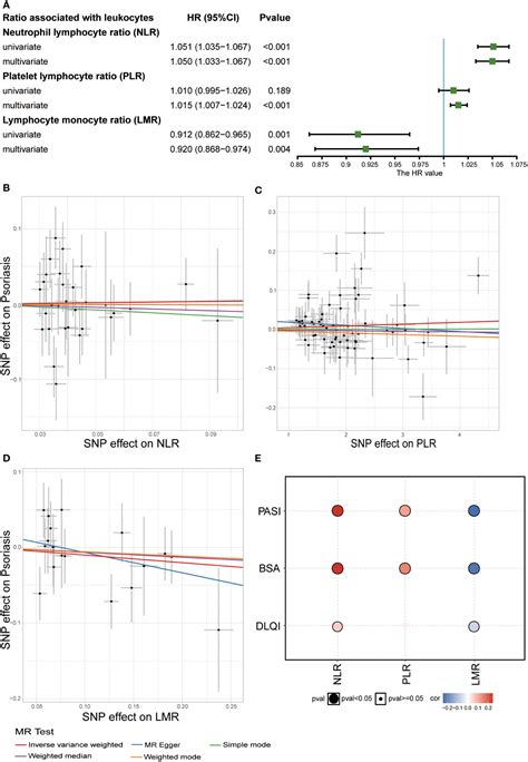 Frontiers Exploring The Association And Causal Effect Between White