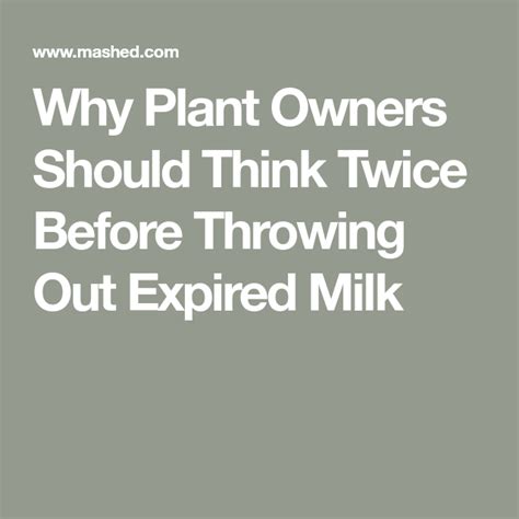 Why Plant Owners Should Think Twice Before Throwing Out Expired Milk