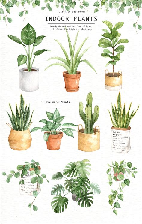 Indoor Plants Watercolor Clipart | Indoor plants, House plants indoor, Watercolor plants