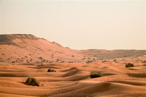 Saf Ri No Deserto Dubai Um Dos Melhores Passeios Em Dubai