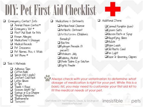 DIY Pet First Aid Kit - Irresistible Pets