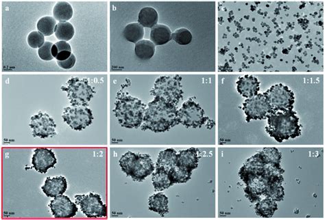 TEM images of (a) pure PMMA spheres, (b) PMMA modified by KH570, (c) BT ...