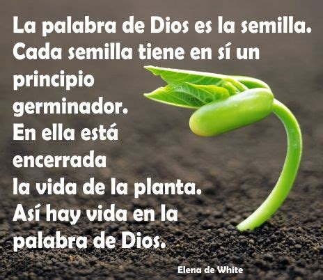 La Palabra De Dios Es Una Semilla