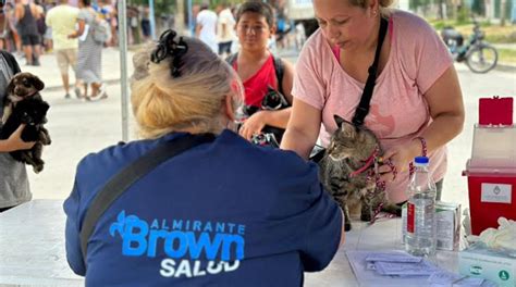 Este Jueves El Municipio Desembarca En Claypole Con Un Nuevo Operativo