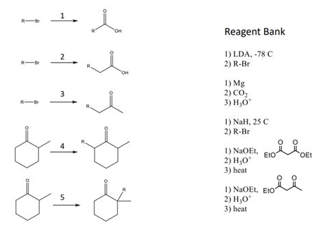 Chapter 21 Alpha Carbon Chemistry Diagram | Quizlet