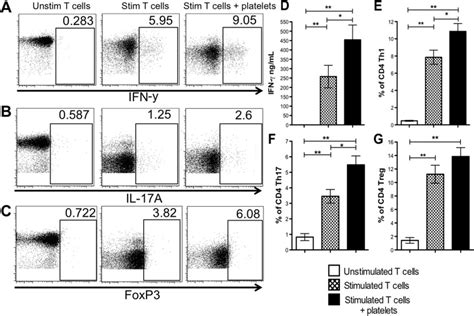 Prasugrel Inhibits Platelet Enhanced Pro Inflammatory Cd T Cell