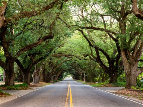 Aiken, South Carolina - Eye Was Here Photography