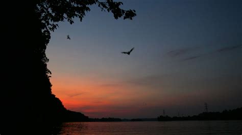 Gallatin is exciting? Yes, let me count the ways