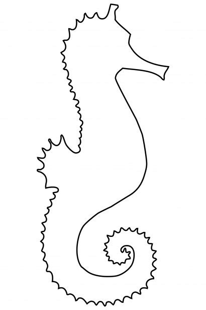 Seahorse Outline Clipart Free Stock Photo Public Domain Pictures