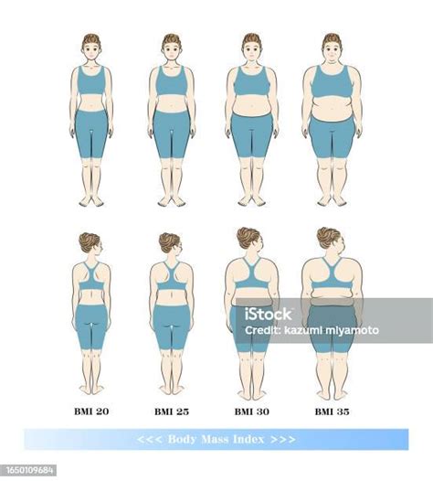 Bmi Body Mass Index Body Shape Changes In Young Women Diet Before And ...