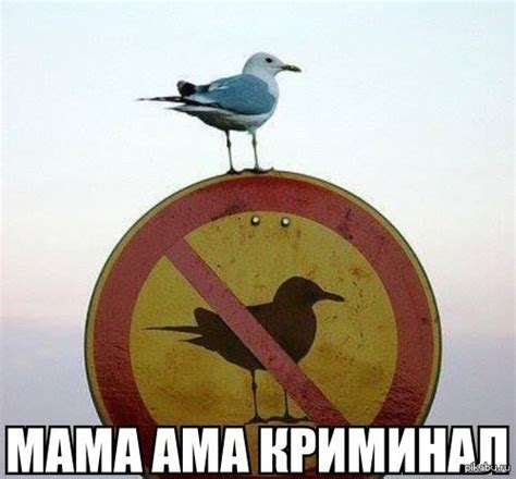 FUCK DA POLICE Пикабу