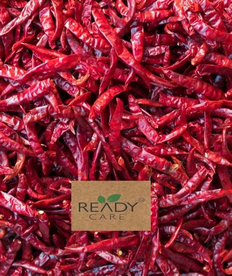 Organic Dried Red Chilli Capsicum Annuum At Rs 285 Kg Dry Red