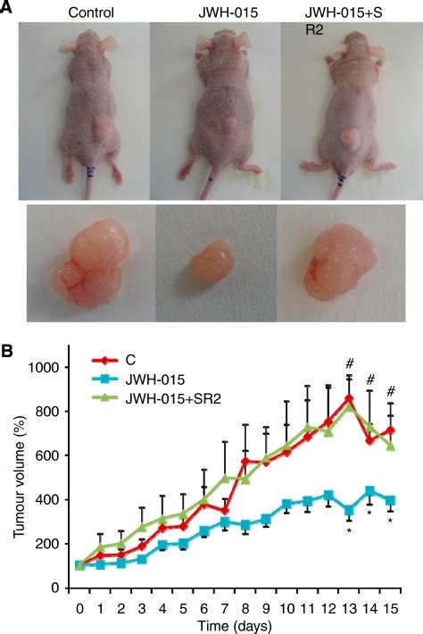 In Vivo Anti Tumoural Properties Of Jwh 015 Athymic Nu Open I