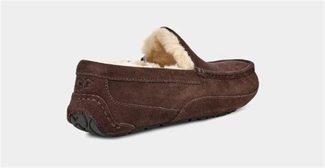 Ugg Ascot Slipper For Men Ugg® Uk