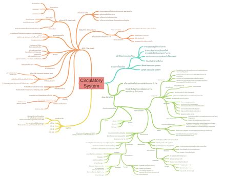 Circulatory System Coggle Diagram