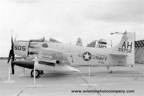 The Aviation Photo Company A 1 Skyraider Douglas Us Navy Va 152