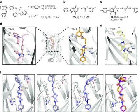 Identification Of A Novel KRas PDEd Inhibitor Chemotype Structure