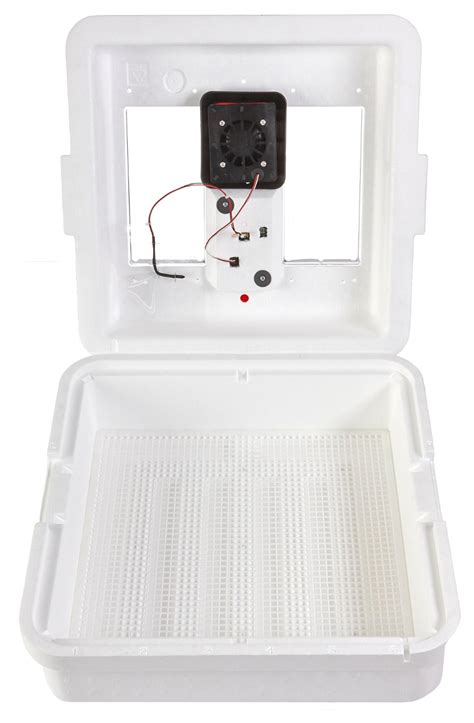 Little Giant Digital Egg Incubator