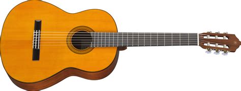 What are the Different Acoustic Guitar Body Types?