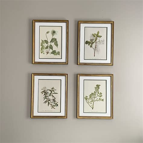 Gold Framed Botanical Prints Set Of 4 Vintage Original Wild Flower