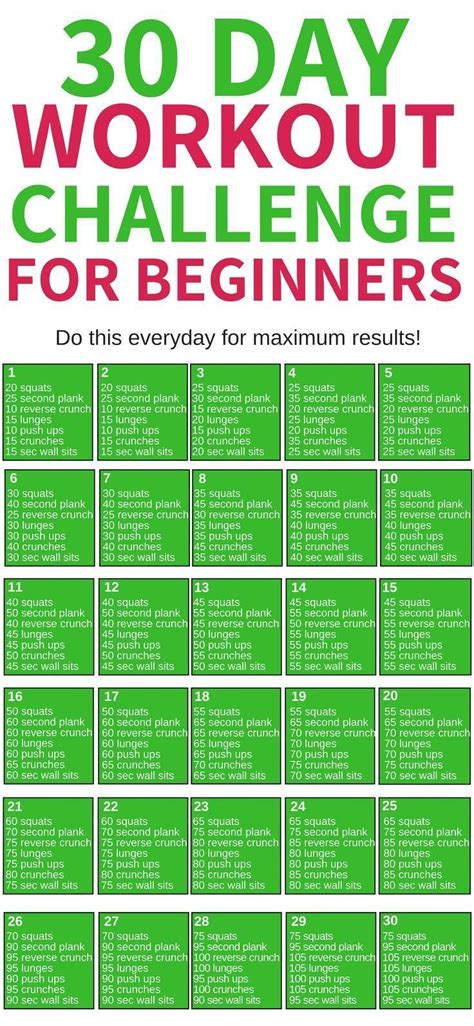 30 Day Workout Challenge for Beginners